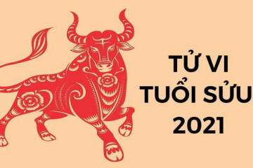 Sinh năm 2017 mệnh gì? Tính cách đặc trưng Đinh Dậu, phong thủy màu sắc, tuổi hợp và kỵ Sinh năm 2017 mệnh gì? Tính cách đặc trưng Đinh Dậu, phong thủy màu sắc, tuổi hợp và kỵ