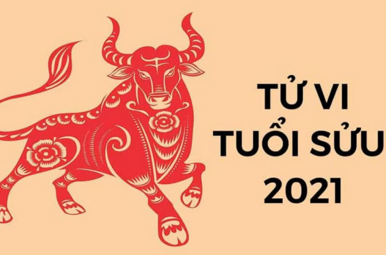 Sinh năm 2021 mệnh gì? Đặc điểm tính cách, màu sắc hợp, cách nuôi dạy hiệu quả Sinh năm 2021 mệnh gì? Đặc điểm tính cách, màu sắc hợp, cách nuôi dạy hiệu quả