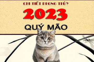 Trẻ sinh năm 2023 mệnh gì? Tính cách, vận mệnh, tử vi trọn đời, phong thủy màu sắc Trẻ sinh năm 2023 mệnh gì? Tính cách, vận mệnh, tử vi trọn đời, phong thủy màu sắc