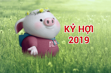 Sinh năm 2019 thuộc mệnh gì và những điều cha mẹ cần biết để con phát triển hài hòa Sinh năm 2019 thuộc mệnh gì và những điều cha mẹ cần biết để con phát triển hài hòa