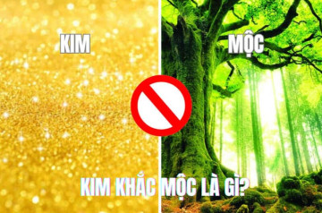 Kim khắc Mộc: Hiểu đúng bản chất và bí quyết hóa giải để cải thiện vận mệnh Kim khắc Mộc: Hiểu đúng bản chất và bí quyết hóa giải để cải thiện vận mệnh