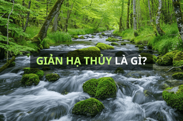 Mệnh Giản Hạ Thủy – Bí mật về sức mạnh thực sự của nước khe suối ít người biết Mệnh Giản Hạ Thủy – Bí mật về sức mạnh thực sự của nước khe suối ít người biết