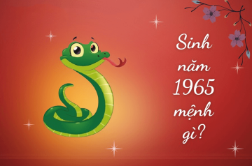Sinh năm 1965 mệnh gì? Khám phá bản mệnh, Tuổi hợp, Hướng tốt mang đến nhiều tài lộc Sinh năm 1965 mệnh gì? Khám phá bản mệnh, Tuổi hợp, Hướng tốt mang đến nhiều tài lộc