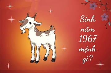 Sinh năm 1967 mệnh gì? Tổng quan bản mệnh, yếu tố hợp khắc và tử vi, vật phẩm phong thủy Sinh năm 1967 mệnh gì? Tổng quan bản mệnh, yếu tố hợp khắc và tử vi, vật phẩm phong thủy