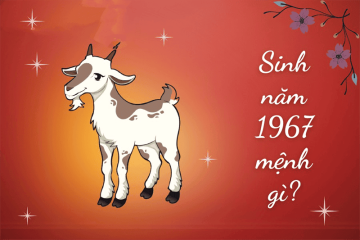 Sinh năm 1965 mệnh gì? Khám phá bản mệnh, Tuổi hợp, Hướng tốt mang đến nhiều tài lộc Sinh năm 1965 mệnh gì? Khám phá bản mệnh, Tuổi hợp, Hướng tốt mang đến nhiều tài lộc
