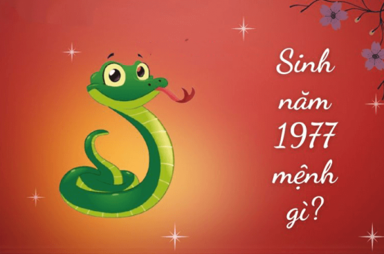 Sinh năm 1977 mệnh gì? Giải mã màu hợp kỵ, Hướng nhà, Tuổi hợp làm ăn và Tử vi trọn đời Sinh năm 1977 mệnh gì? Giải mã màu hợp kỵ, Hướng nhà, Tuổi hợp làm ăn và Tử vi trọn đời