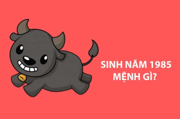Sinh năm 1985 thuộc mệnh gì? Phong thủy và tử vi trọn đời cho người Ất Sửu Sinh năm 1985 thuộc mệnh gì? Phong thủy và tử vi trọn đời cho người Ất Sửu