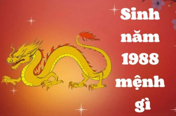 Sinh năm 1988 mệnh gì? Bí quyết phát huy thế mạnh của người tuổi Mậu Thìn Sinh năm 1988 mệnh gì? Bí quyết phát huy thế mạnh của người tuổi Mậu Thìn