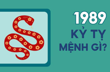 Sinh năm 1989 thuộc mệnh gì? Giải nghĩa ngũ hành và vận mệnh tuổi Kỷ Tỵ Sinh năm 1989 thuộc mệnh gì? Giải nghĩa ngũ hành và vận mệnh tuổi Kỷ Tỵ