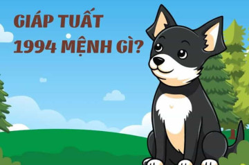 Người sinh năm 1994 mệnh gì? Phong thủy toàn diện cho người tuổi Giáp Tuất Người sinh năm 1994 mệnh gì? Phong thủy toàn diện cho người tuổi Giáp Tuất