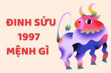 Sinh năm 1997 mệnh gì? Khám phá đặc điểm, cơ hội và thách thức của người Đinh Sửu Sinh năm 1997 mệnh gì? Khám phá đặc điểm, cơ hội và thách thức của người Đinh Sửu