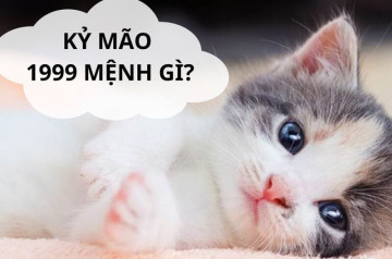 Sinh năm 1999 mệnh gì? Khám phá bản mệnh và cách khai mở vận khí Sinh năm 1999 mệnh gì? Khám phá bản mệnh và cách khai mở vận khí
