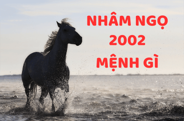 Sinh năm 2002 mệnh gì? Giải mã mệnh nam nữ, mệnh tương hợp, màu sắc phong thủy may mắn Sinh năm 2002 mệnh gì? Giải mã mệnh nam nữ, mệnh tương hợp, màu sắc phong thủy may mắn