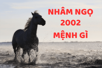 Sinh năm 2026 mệnh gì? Cha mẹ tuổi nào nên sinh con năm 2026 phúc khí viên mãn Sinh năm 2026 mệnh gì? Cha mẹ tuổi nào nên sinh con năm 2026 phúc khí viên mãn