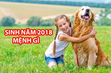 Sinh năm 2018 mệnh gì? Hé lộ tính cách, vận mệnh và tử vi trọn đời tuổi Mậu Tuất Sinh năm 2018 mệnh gì? Hé lộ tính cách, vận mệnh và tử vi trọn đời tuổi Mậu Tuất