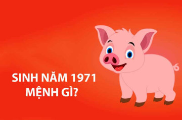 Sinh năm 1971 mệnh gì? Phong thủy màu sắc, đá quý, vận mệnh và tử vi tuổi Tân Hợi Sinh năm 1971 mệnh gì? Phong thủy màu sắc, đá quý, vận mệnh và tử vi tuổi Tân Hợi