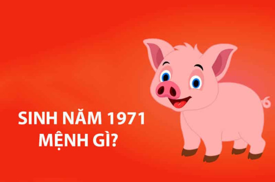 Sinh năm 1971 mệnh gì? Phong thủy màu sắc, đá quý, vận mệnh và tử vi tuổi Tân Hợi Sinh năm 1971 mệnh gì? Phong thủy màu sắc, đá quý, vận mệnh và tử vi tuổi Tân Hợi