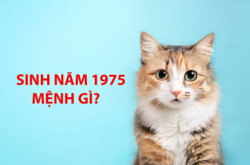 Sinh năm 1975 mệnh gì? Phân tích tính cách, sự nghiệp và phong thủy tuổi Ất Mão Sinh năm 1975 mệnh gì? Phân tích tính cách, sự nghiệp và phong thủy tuổi Ất Mão