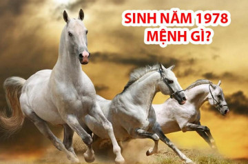Sinh năm 1978 mệnh gì? Vận mệnh, hợp gì, sự nghiệp và tử vi trọn đời tuổi Mậu Ngọ Sinh năm 1978 mệnh gì? Vận mệnh, hợp gì, sự nghiệp và tử vi trọn đời tuổi Mậu Ngọ