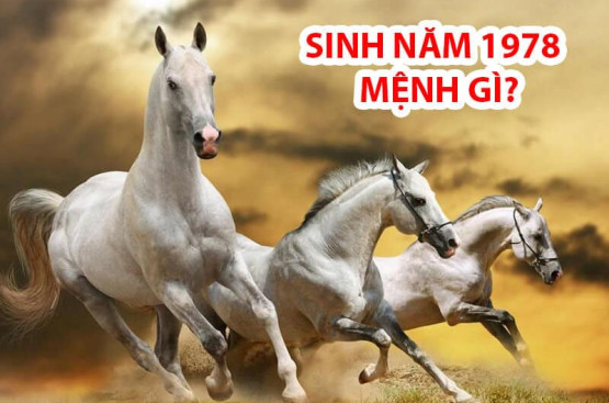 Sinh năm 1978 mệnh gì? Vận mệnh, hợp gì, sự nghiệp và tử vi trọn đời tuổi Mậu Ngọ Sinh năm 1978 mệnh gì? Vận mệnh, hợp gì, sự nghiệp và tử vi trọn đời tuổi Mậu Ngọ