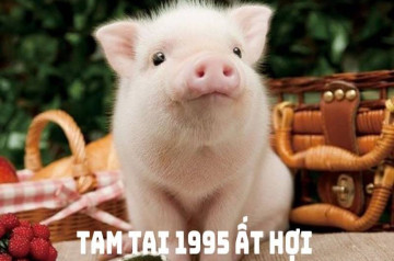 Tam tai 1995: Giải mã 3 năm thử thách và bí quyết vượt qua cho người Ất Hợi Tam tai 1995: Giải mã 3 năm thử thách và bí quyết vượt qua cho người Ất Hợi