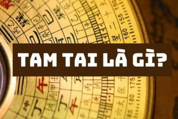 Tử vi mệnh Thủy năm 2025: Dự đoán vận mệnh và cách đột phá trong năm Ất Tỵ cho người mệnh Thủy Tử vi mệnh Thủy năm 2025: Dự đoán vận mệnh và cách đột phá trong năm Ất Tỵ cho người mệnh Thủy