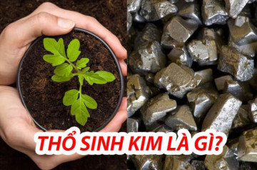 Thổ sinh Kim: Khai phá bí mật ngũ hành giúp thu hút may mắn và phát triển toàn diện Thổ sinh Kim: Khai phá bí mật ngũ hành giúp thu hút may mắn và phát triển toàn diện