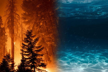 Hỏa khắc Kim: Nguyên lý, ảnh hưởng và cách hóa giải trong phong thủy Hỏa khắc Kim: Nguyên lý, ảnh hưởng và cách hóa giải trong phong thủy