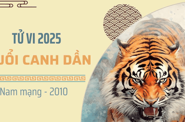 Tử vi tuổi Canh Dần năm 2025 nam mạng: Về vận mệnh, sức khỏe, tài lộc và đá phong thủy hóa giải Tử vi tuổi Canh Dần năm 2025 nam mạng: Về vận mệnh, sức khỏe, tài lộc và đá phong thủy hóa giải