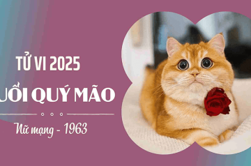 Tử vi tuổi Quý Mão năm 2025 nữ mạng: Tài lộc, sự nghiệp và tình cảm thay đổi thế nào? Tử vi tuổi Quý Mão năm 2025 nữ mạng: Tài lộc, sự nghiệp và tình cảm thay đổi thế nào?