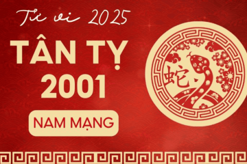 Tử vi tuổi Nhâm Thìn năm 2025 nam mạng: Nắm bắt cơ hội, phát triển rực rỡ Tử vi tuổi Nhâm Thìn năm 2025 nam mạng: Nắm bắt cơ hội, phát triển rực rỡ