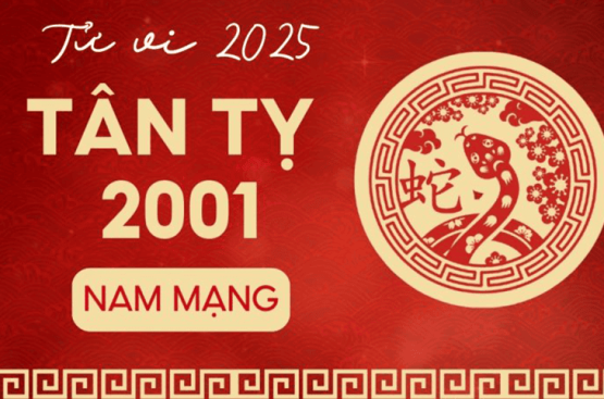 Tử vi tuổi Tân Tỵ năm 2025 nam mạng – Sự nghiệp, đường tình duyên, công danh và đại hạn ra sao? Tử vi tuổi Tân Tỵ năm 2025 nam mạng – Sự nghiệp, đường tình duyên, công danh và đại hạn ra sao?