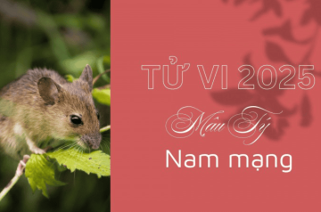 Tử vi tuổi Mậu Tý năm 2025 nam mạng – Hé lộ vận trình và giải pháp phong thủy giúp đổi vận Tử vi tuổi Mậu Tý năm 2025 nam mạng – Hé lộ vận trình và giải pháp phong thủy giúp đổi vận