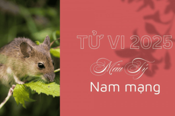 Tử vi tuổi Tân Mão năm 2025 nam mạng: Vượt qua hạn, vững bước tới thành công Tử vi tuổi Tân Mão năm 2025 nam mạng: Vượt qua hạn, vững bước tới thành công