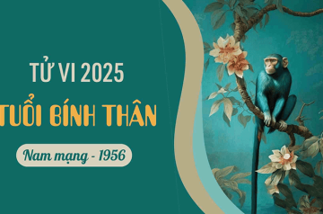 Tử vi tuổi Bính Thân năm 2025 nam mạng: Cung hạn, sao chiếu mệnh và vận trình cả năm Tử vi tuổi Bính Thân năm 2025 nam mạng: Cung hạn, sao chiếu mệnh và vận trình cả năm
