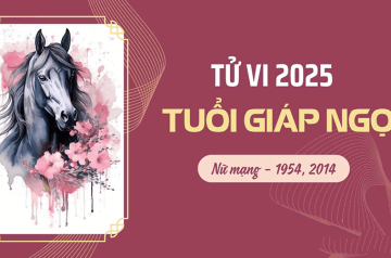 Tử vi tuổi Giáp Ngọ năm 2025 nữ mạng: Tổng quan sao chiếu mệnh, vận hạn Tử vi tuổi Giáp Ngọ năm 2025 nữ mạng: Tổng quan sao chiếu mệnh, vận hạn