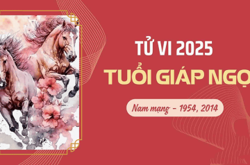 Tử vi tuổi Giáp Ngọ năm 2025 nam mạng – Luận giải tài lộc, sức khỏe và sự nghiệp có điều gì đáng lo Tử vi tuổi Giáp Ngọ năm 2025 nam mạng – Luận giải tài lộc, sức khỏe và sự nghiệp có điều gì đáng lo