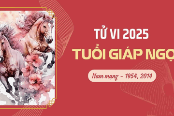 Tử vi tuổi Bính Thân năm 2025 nam mạng: Cung hạn, sao chiếu mệnh và vận trình cả năm Tử vi tuổi Bính Thân năm 2025 nam mạng: Cung hạn, sao chiếu mệnh và vận trình cả năm