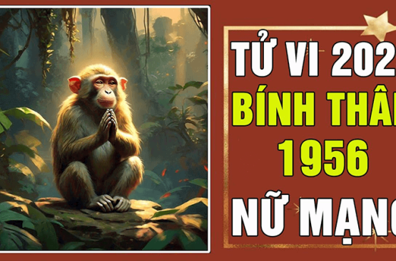Tử vi tuổi Bính Thân năm 2025 nữ mạng: Giải mã vận hạn, tài lộc và sức khỏe cần lưu tâm Tử vi tuổi Bính Thân năm 2025 nữ mạng: Giải mã vận hạn, tài lộc và sức khỏe cần lưu tâm