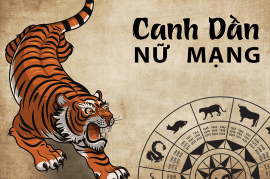 Tử vi tuổi Canh Dần năm 2025 nữ mạng: Tổng quan vận trình, học hành, sự nghiệp và đời sống Tử vi tuổi Canh Dần năm 2025 nữ mạng: Tổng quan vận trình, học hành, sự nghiệp và đời sống
