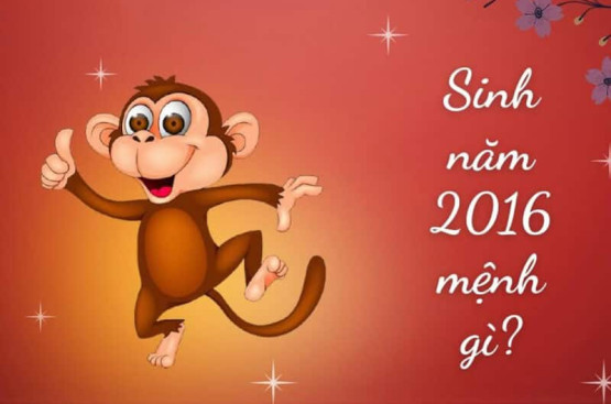Sinh năm 2016 mệnh gì? Giải mã mệnh, tính cách, phong thủy và định hướng phát triển Sinh năm 2016 mệnh gì? Giải mã mệnh, tính cách, phong thủy và định hướng phát triển