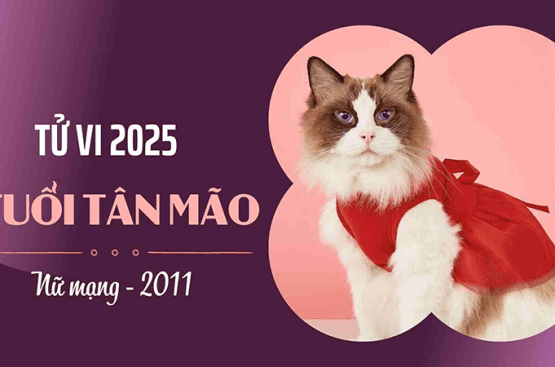Tử vi tuổi Tân Mão năm 2025 nữ mạng – Dự báo biến động và vận hạn ảnh hưởng tuổi 15 Tử vi tuổi Tân Mão năm 2025 nữ mạng – Dự báo biến động và vận hạn ảnh hưởng tuổi 15