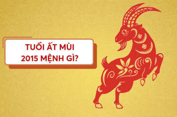 Sinh năm 2015 mệnh gì? Tính cách, tử vi trọn đời và định hướng nuôi dạy con Sinh năm 2015 mệnh gì? Tính cách, tử vi trọn đời và định hướng nuôi dạy con