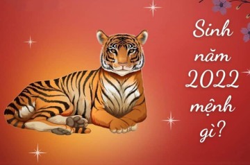 Sinh năm 2022 mệnh gì? Tính cách, tử vi và phong thủy tuổi Nhâm Dần Sinh năm 2022 mệnh gì? Tính cách, tử vi và phong thủy tuổi Nhâm Dần
