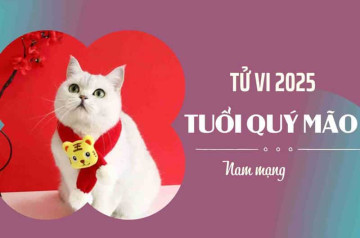 Tử vi tuổi Quý Mão năm 2025 nam mạng: Đọc đúng vận số, sống đúng thời vận Tử vi tuổi Quý Mão năm 2025 nam mạng: Đọc đúng vận số, sống đúng thời vận