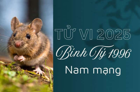 Tử vi tuổi Bính Tý năm 2025 nam mạng: Đương đầu khó khăn, đón chào thành công Tử vi tuổi Bính Tý năm 2025 nam mạng: Đương đầu khó khăn, đón chào thành công