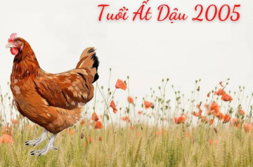 Tử vi tuổi Ất Dậu năm 2025 nữ mạng: Thể hiện bản thân, phát triển sự nghiệp Tử vi tuổi Ất Dậu năm 2025 nữ mạng: Thể hiện bản thân, phát triển sự nghiệp