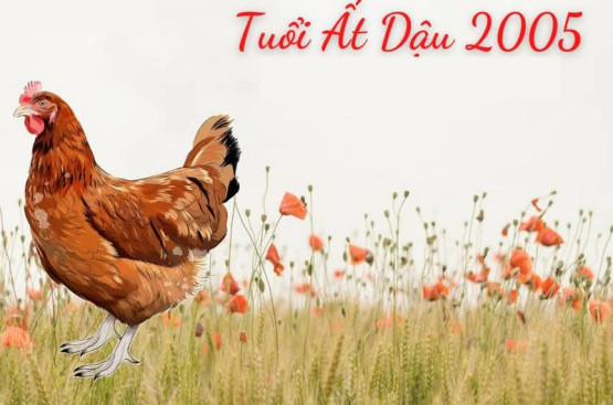 Tử vi tuổi Ất Dậu năm 2025 nữ mạng: Thể hiện bản thân, phát triển sự nghiệp Tử vi tuổi Ất Dậu năm 2025 nữ mạng: Thể hiện bản thân, phát triển sự nghiệp