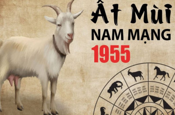 Tử vi tuổi Ất Mùi năm 2025 nam mạng: Nhiều thử thách và biến đổi Tử vi tuổi Ất Mùi năm 2025 nam mạng: Nhiều thử thách và biến đổi