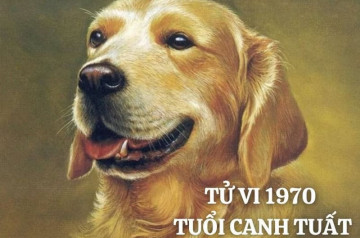 Tử vi tuổi Canh Tuất năm 2025 nam mạng: Đón nhận cơ hội, mở rộng quan hệ Tử vi tuổi Canh Tuất năm 2025 nam mạng: Đón nhận cơ hội, mở rộng quan hệ